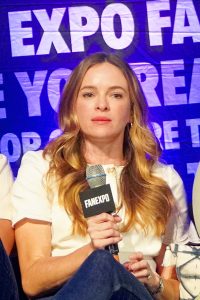 The Flash panel