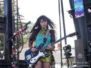 The Velveteers
